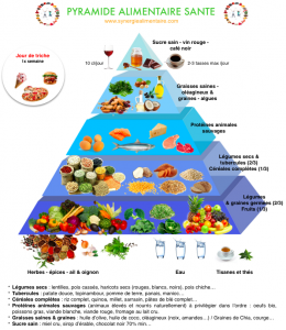 pyramide alimentaire -synergie alimentaire