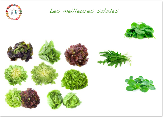 les meilleures salades - synergie alimentaire