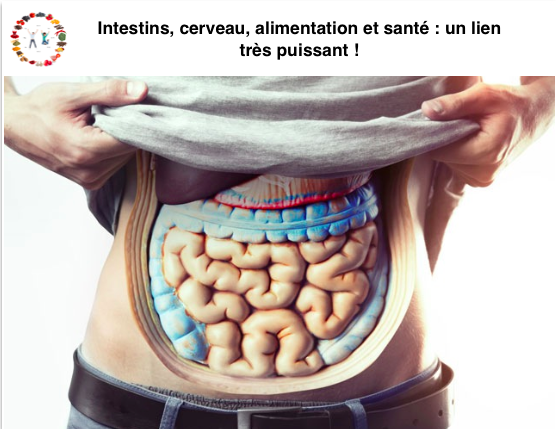Intestins, cerveau, alimentation et santé - synergie alimentaire