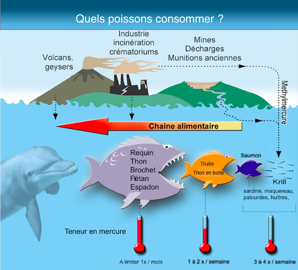 quels poissons consommer - synergie alimentaire
