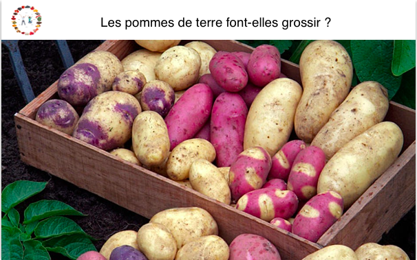 les pommes de terres font-elles grossir ? synergie alimentaire