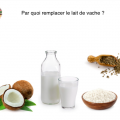 par quoi remplacer le lait de vache ?