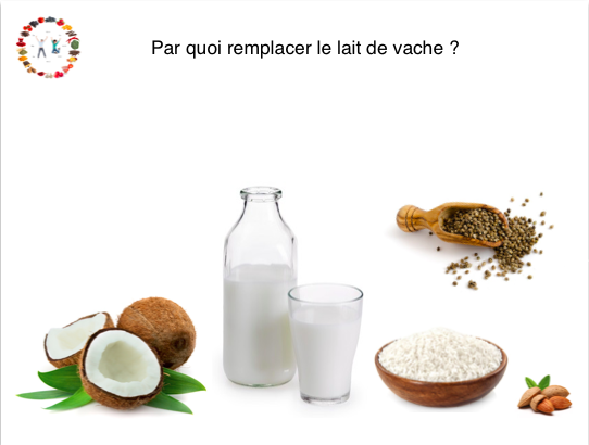 par quoi remplacer le lait de vache ?