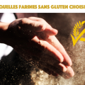 quelles farines sans gluten choisir ?