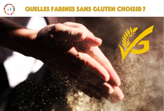 quelles farines sans gluten choisir ?