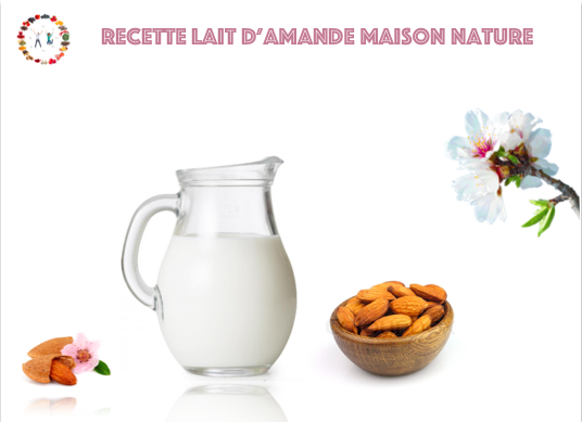 recette lait d'amande maison nature