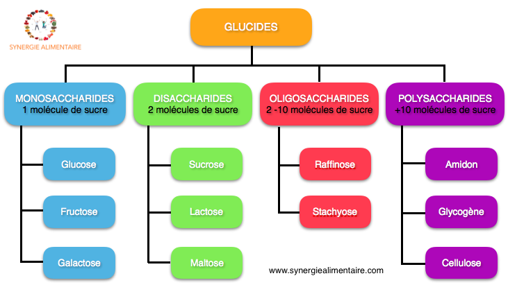 famille des glucides